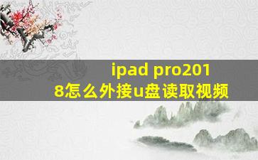 ipad pro2018怎么外接u盘读取视频